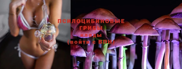 бутират Лиски