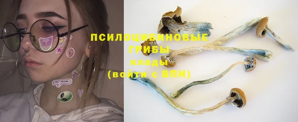 бутират Лиски