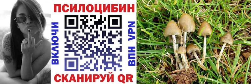omg маркетплейс  Питкяранта  Галлюциногенные грибы прущие грибы 