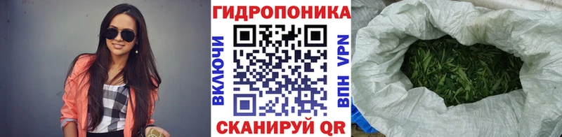 Канабис Amnesia  где купить   МЕГА   Питкяранта 